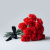 Гвоздика красная ПОШТУЧНО арт. 24 Гвоздика красная ПОШТУЧНО арт. 24