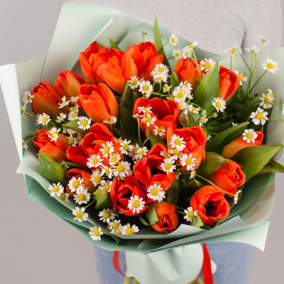 Букет из 19 алых тюльпанов с ромашками 46334