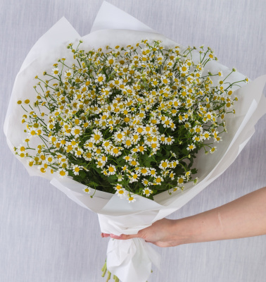 Круглый букет из ромашек танацетумов 36303