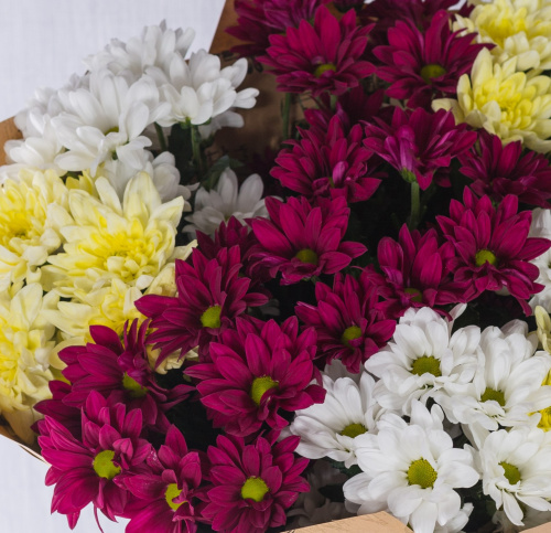Букет из разноцветных хризантем арт. 35809