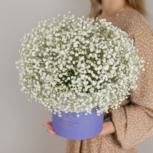 Коробка с гипсофилой белая арт. 50464